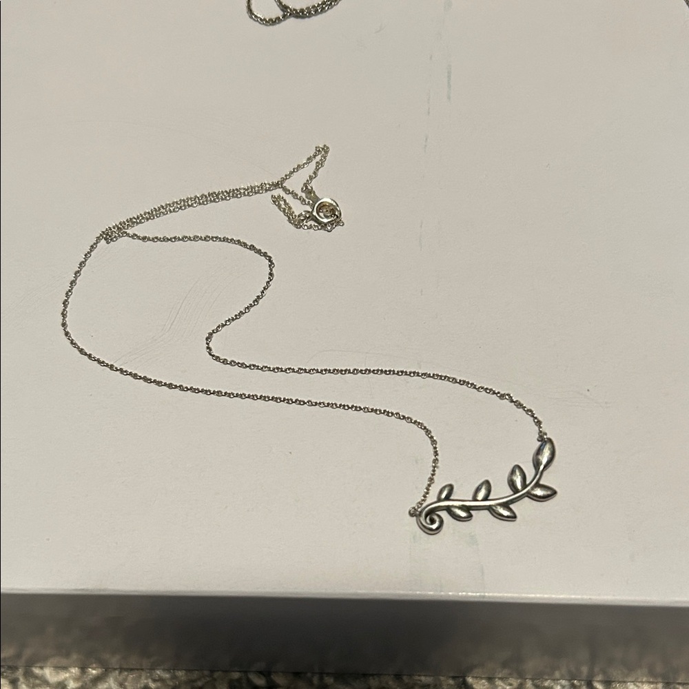 Tiffany Paloma Picasso Necklace

Original